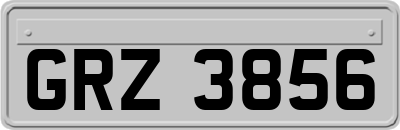 GRZ3856