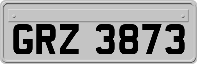 GRZ3873