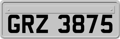 GRZ3875