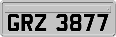 GRZ3877