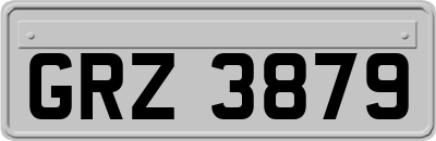GRZ3879