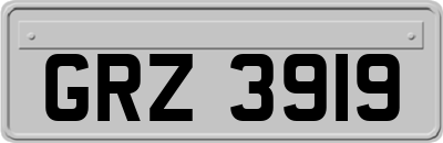GRZ3919