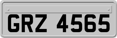 GRZ4565
