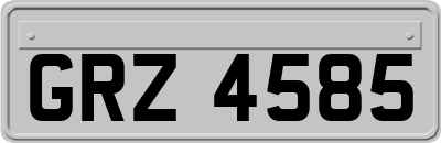 GRZ4585