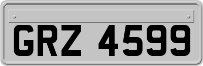 GRZ4599