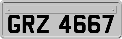 GRZ4667