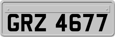 GRZ4677