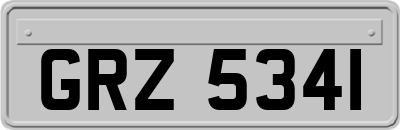 GRZ5341
