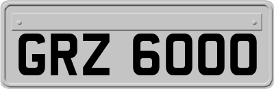 GRZ6000