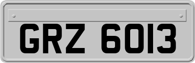 GRZ6013