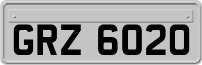 GRZ6020