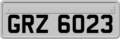 GRZ6023