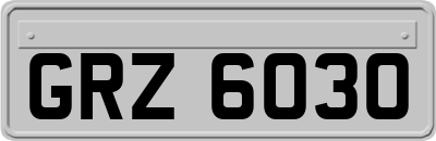 GRZ6030