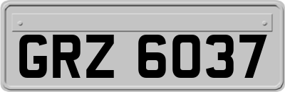 GRZ6037