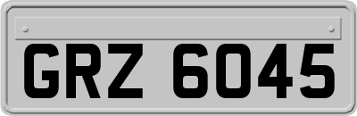 GRZ6045