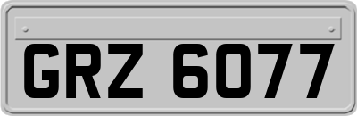GRZ6077