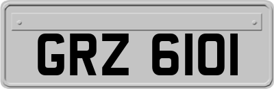 GRZ6101