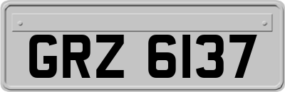 GRZ6137