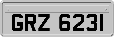 GRZ6231