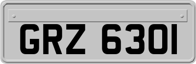 GRZ6301