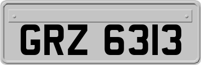 GRZ6313