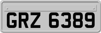 GRZ6389
