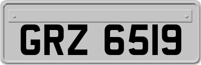 GRZ6519