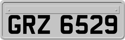 GRZ6529