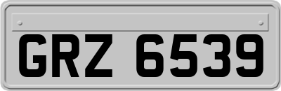 GRZ6539