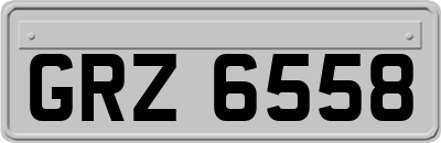 GRZ6558