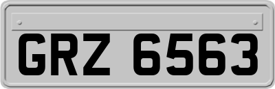 GRZ6563