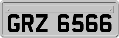 GRZ6566