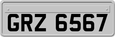 GRZ6567