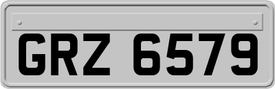 GRZ6579