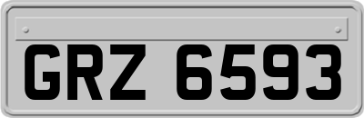 GRZ6593