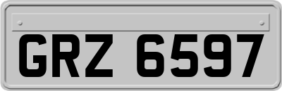 GRZ6597