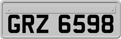GRZ6598