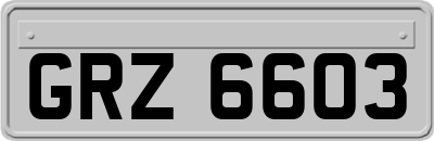 GRZ6603