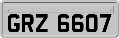 GRZ6607