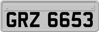 GRZ6653