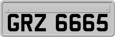 GRZ6665