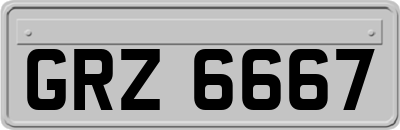 GRZ6667