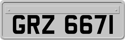 GRZ6671