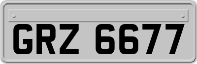 GRZ6677