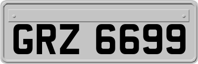 GRZ6699