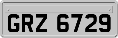 GRZ6729