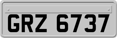 GRZ6737
