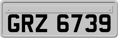 GRZ6739