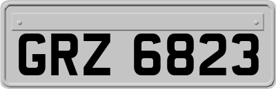 GRZ6823