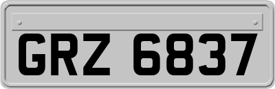 GRZ6837